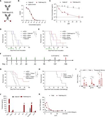 Engineered antibody cytokine chimera synergizes with DNA-launched nanoparticle vaccines to potentiate melanoma suppression in vivo